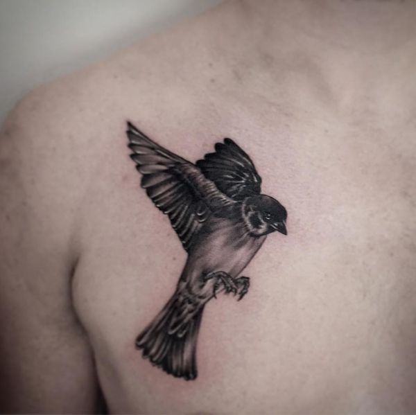 Sparrows Tattoos and meanings