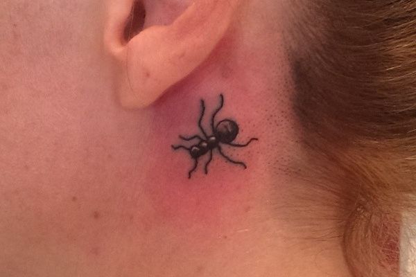 Ants Tattoos Meanings And Concepts Nexttattoos