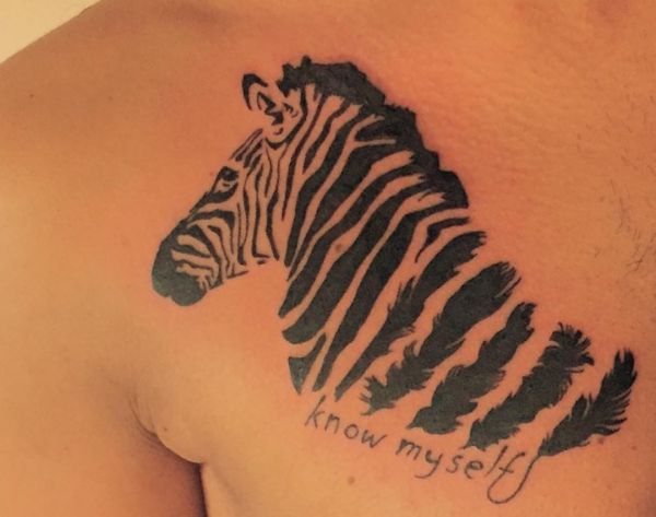 20 Zebra Tattoo Concepts: Pictures and Meanings
