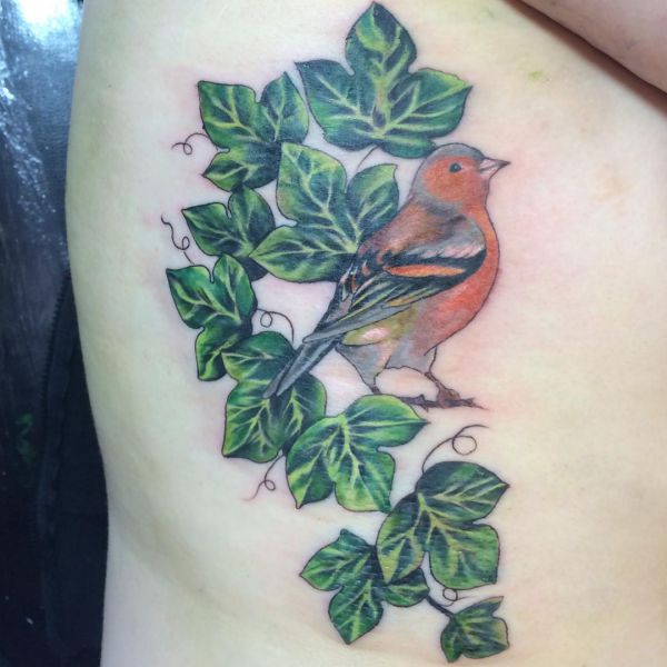 Ivy Tattoo - Its which means and 12 concepts