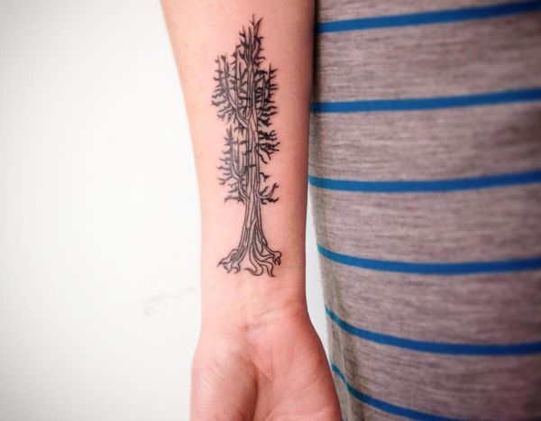 Tree Tattoo - Its That means and 40 Nice Design Concepts