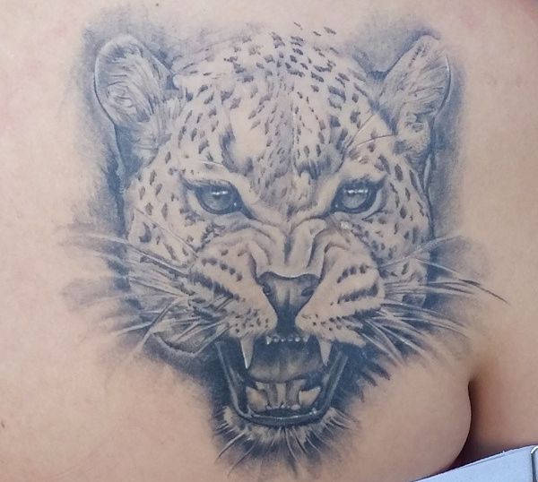 Cheetah Tattoos: Designs and Meanings