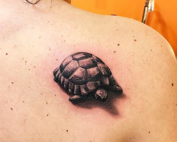 25 turtles tattoo concepts: photos and meanings