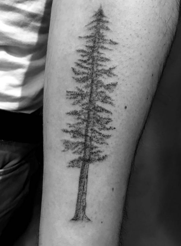 Tree Tattoo - Its That means and 40 Nice Design Concepts