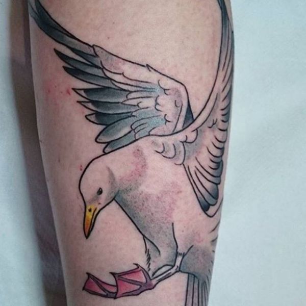 17 seagull tattoos and the meanings