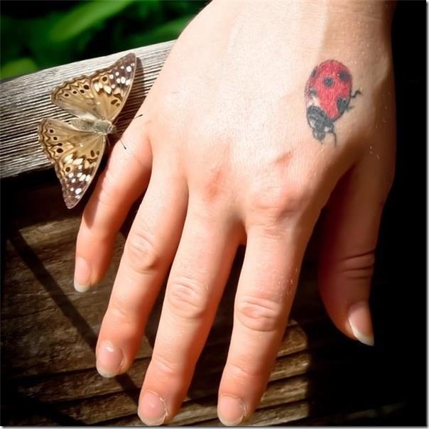 Ladybug tattoos