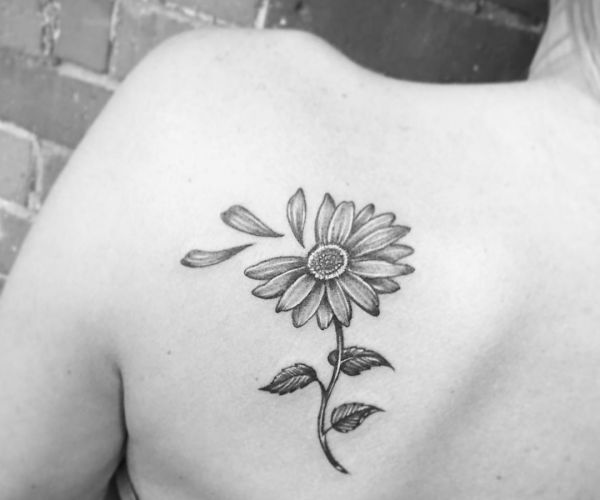 33 stunning daisy tattoos and their meanings