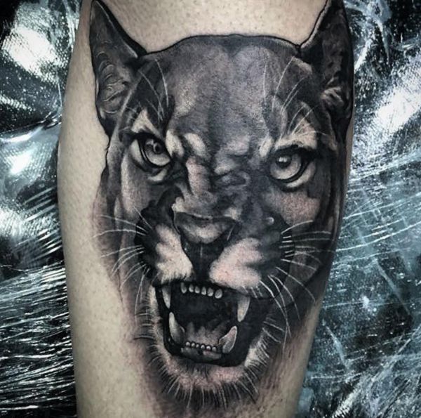 puma tatuaggio