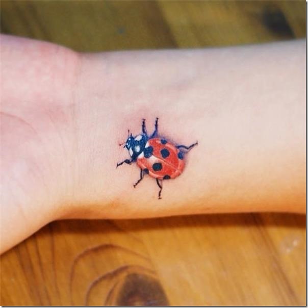 Ladybug tattoos