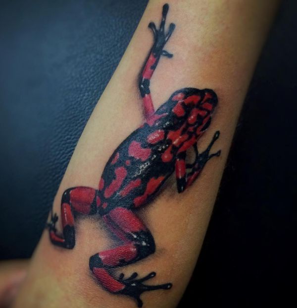 Frog Tattoo - Its Which means and 34 Concepts