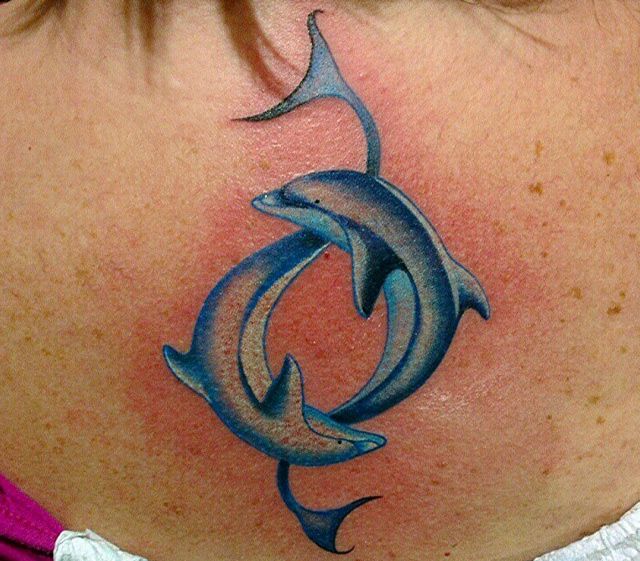 Dolphin tattoos and the meanings