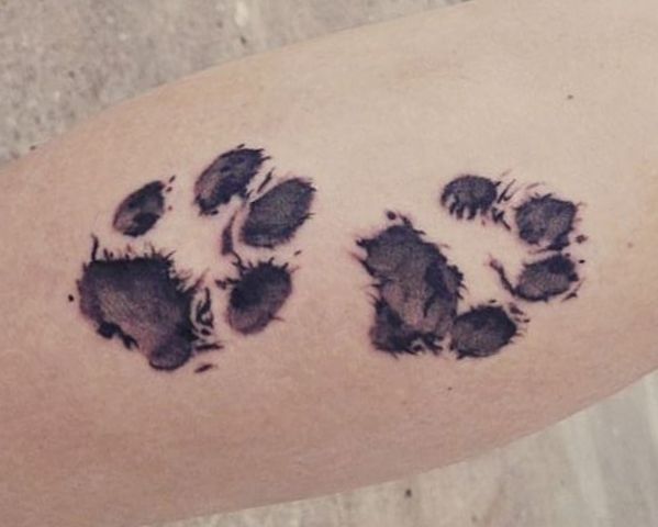 33 paws tattoo concepts - photos and that means