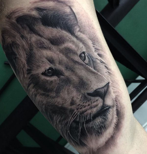 Lion tattoos and their meanings