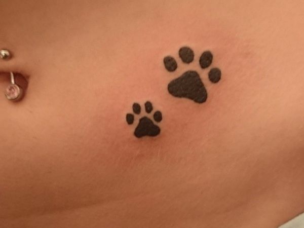 33 paws tattoo concepts - photos and that means