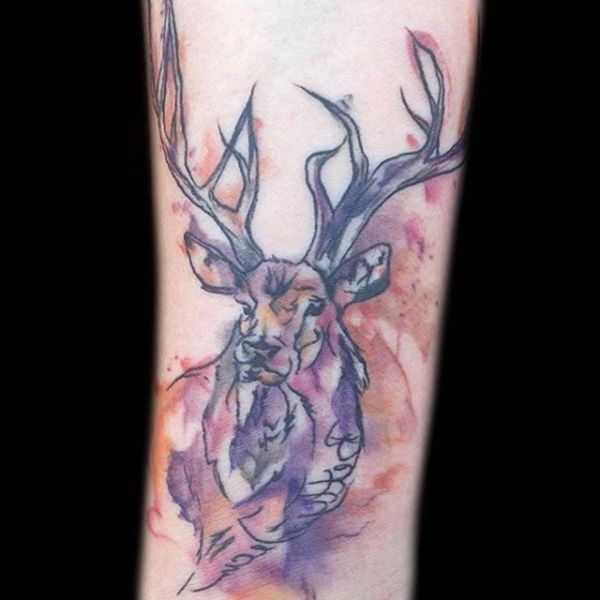 24 mysterious moose tattoos and meanings