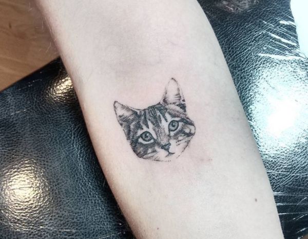 30 katter tatovering konsepter med betydninger