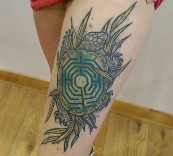 25 turtles tattoo concepts: photos and meanings