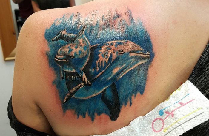 Dolphin tattoos and the meanings