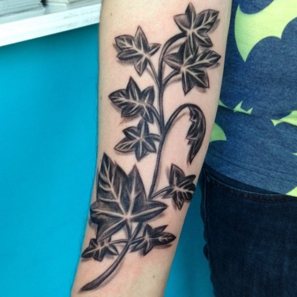 Ivy Tattoo - Its which means and 12 concepts