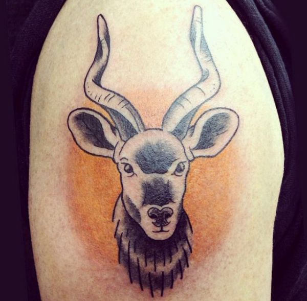 Gazelle and deer tattoos: 20 concepts with that means