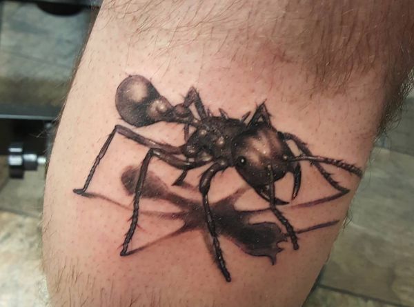 Ants Tattoos: meanings and concepts