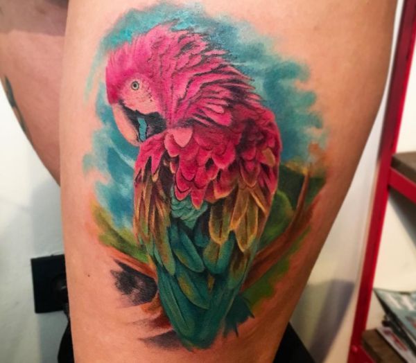 16 attractive parrot tattoos and their meanings