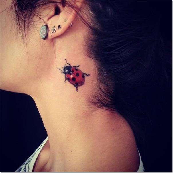 Ladybug tattoos