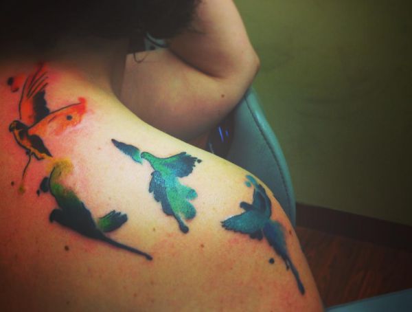 16 attractive parrot tattoos and their meanings