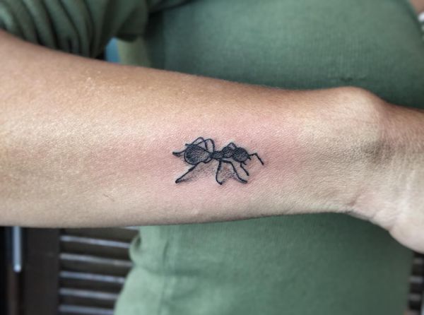 Ants Tattoos: meanings and concepts