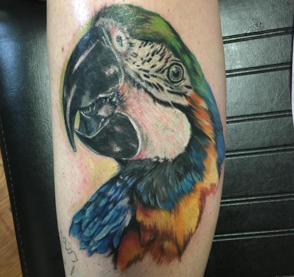 16 attractive parrot tattoos and their meanings