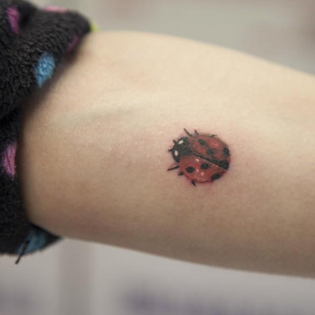 50 Tattoos of Ladybugs