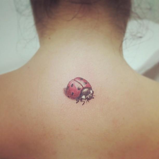 50 Tattoos of Ladybugs