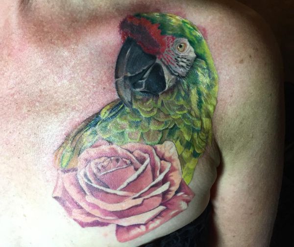 16 attractive parrot tattoos and their meanings