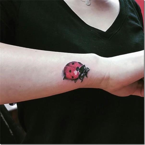 Ladybug tattoos