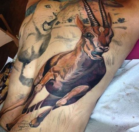 Gazelle and deer tattoos: 20 concepts with that means