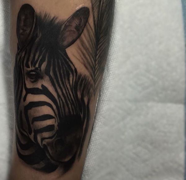 zebra tattoo hours