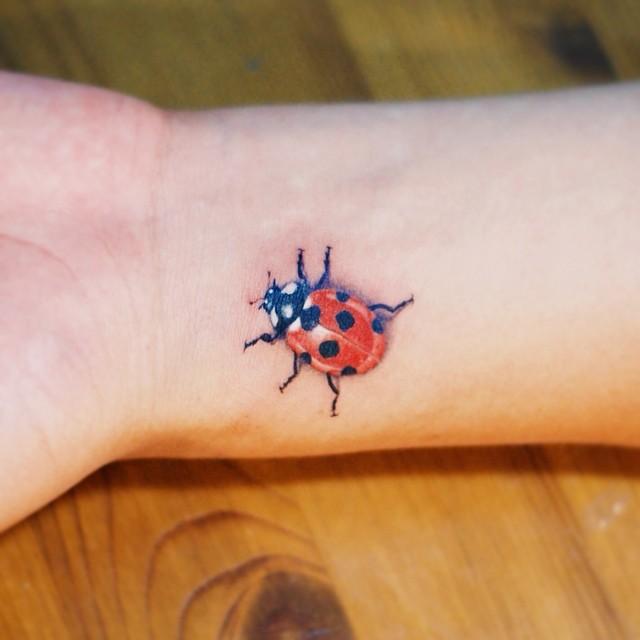 50 Tattoos of Ladybugs