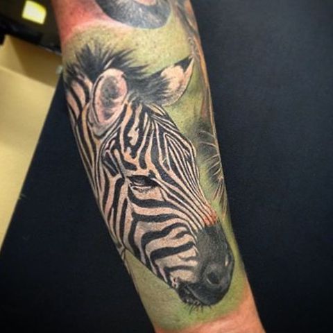 20 Zebra Tattoo Concepts: Pictures and Meanings