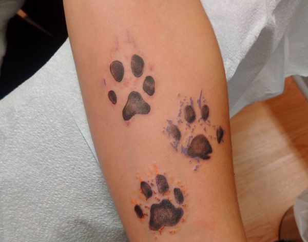 33 paws tattoo concepts - photos and that means