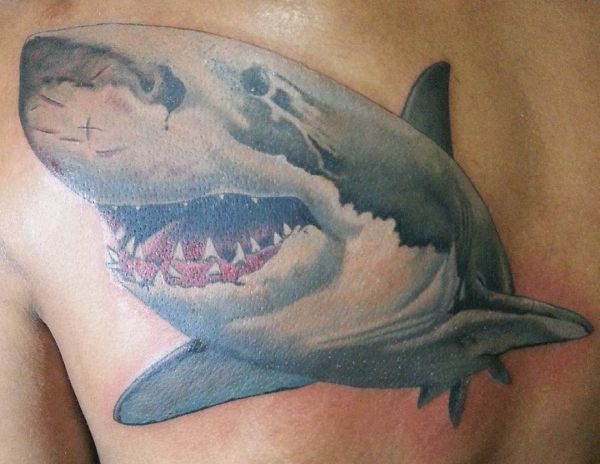 12 Implausible shark tattoos and their meanings