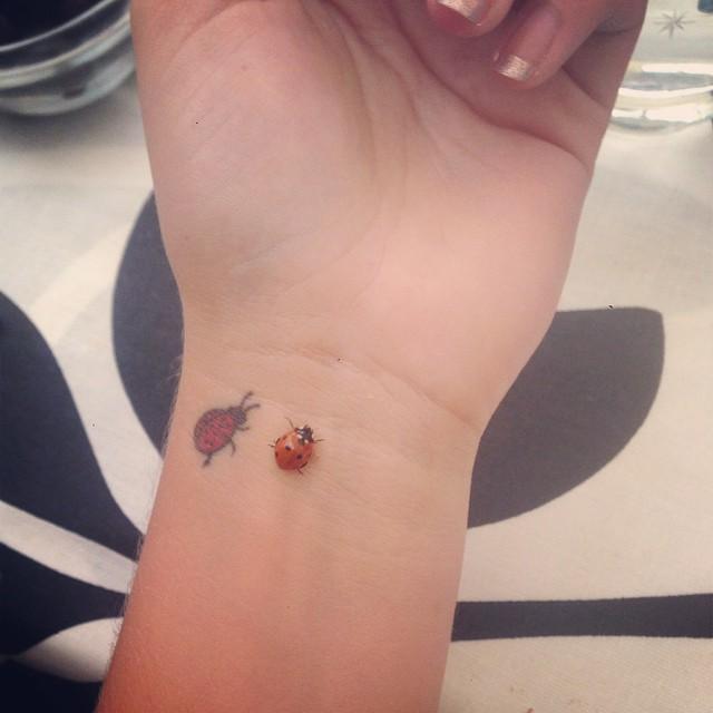 50 Tattoos of Ladybugs