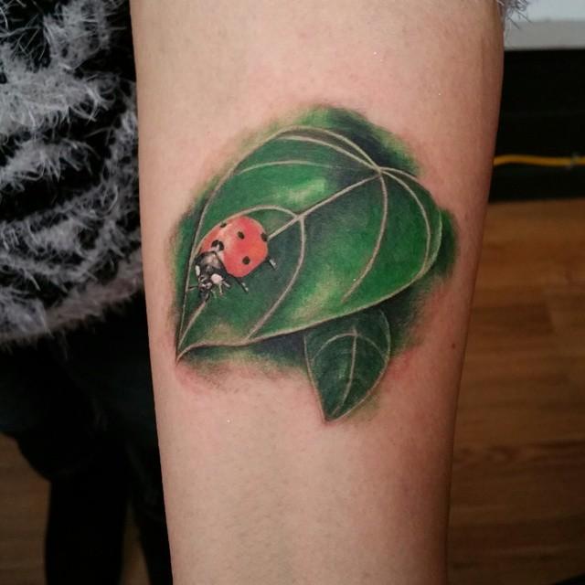 50 Tattoos of Ladybugs