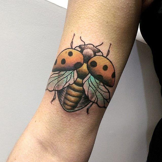 50 Tattoos of Ladybugs