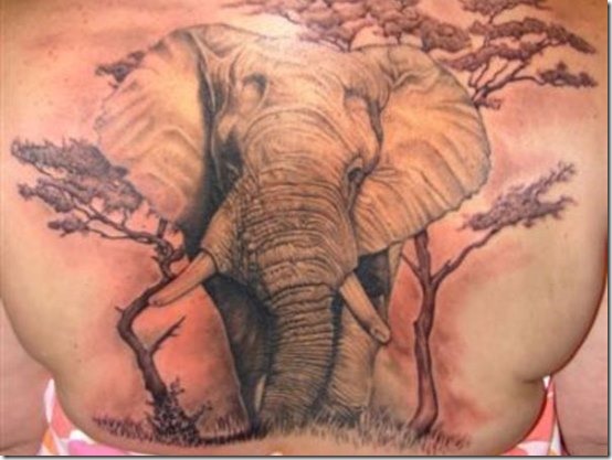 Inventive Elephant Tattoo Designs For Males And Girls