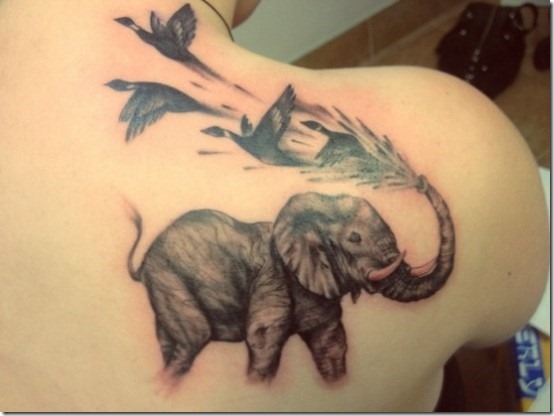 Inventive Elephant Tattoo Designs For Males And Girls