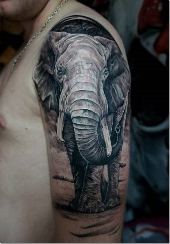 Inventive Elephant Tattoo Designs For Males And Girls