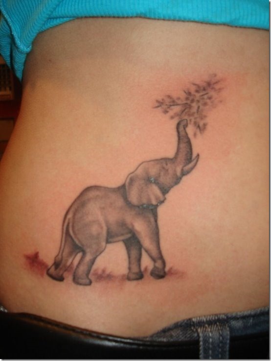 Inventive Elephant Tattoo Designs For Males And Girls