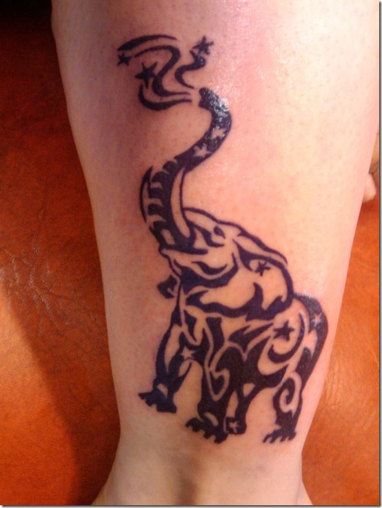 Inventive Elephant Tattoo Designs For Males And Girls