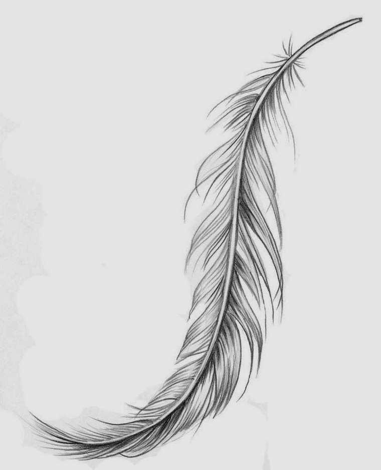 Feather tattoo: which means and 20 tattoo concepts to find