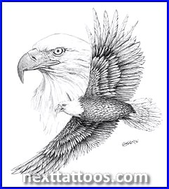 Popular Animal Tattoos Popular Animal Tattoos